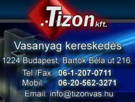 tizon-logo